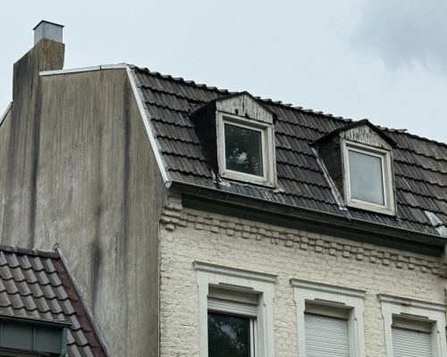 Dachansicht mit Gauben (straßenseitig)