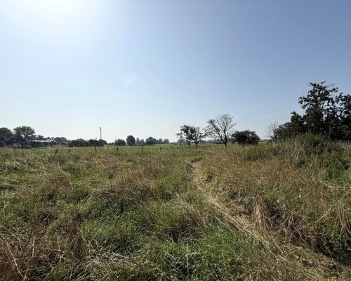 12b Blick über Wiesen und Felder