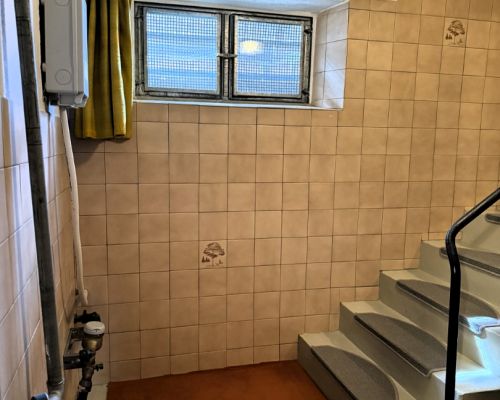 21 Kellertreppe