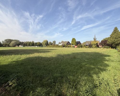 26 Wiesenland Blick Richtung Kirche Qualburg