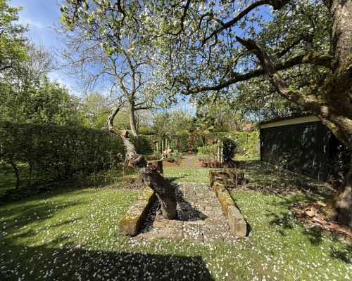 11 Gartenbereich Ansicht 3
