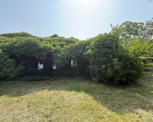 2 Vorderansicht zugewachsen