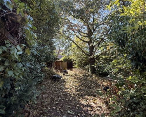 3 Gartenansicht