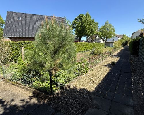 2a Garten vorne Ansicht 2