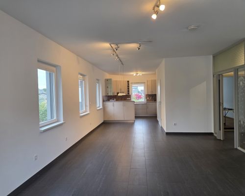 Wohn - und Küchenbereich