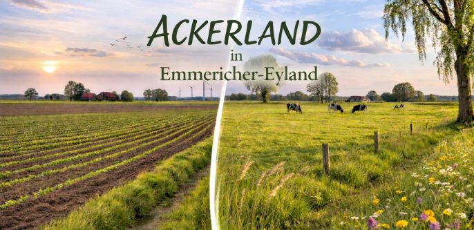 Ackerland Emmericher-Eyland