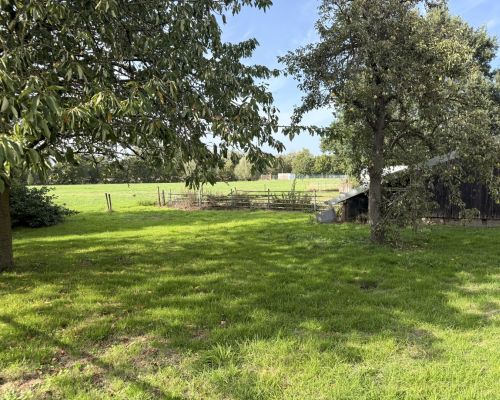 27 Ansicht Garten- und Wiesenland