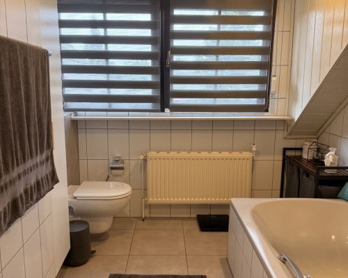 23i  Badezimmer Dachgeschoss Ansicht 2